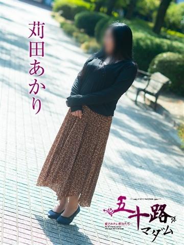 苅田あかり