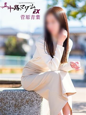 菅原青葉