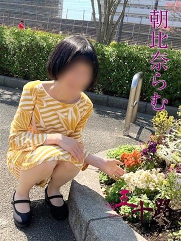 朝比奈らむ